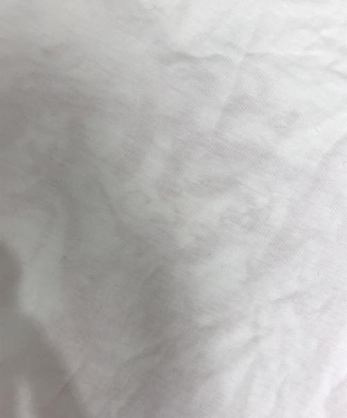ALEXANDER McQUEEN（アレキサンダーマックイーン）ALEXANDER McQUEEN (アレキサンダーマックイーン) スカルプリントTシャツ ホワイト サイズ:38の古着・服飾アイテム