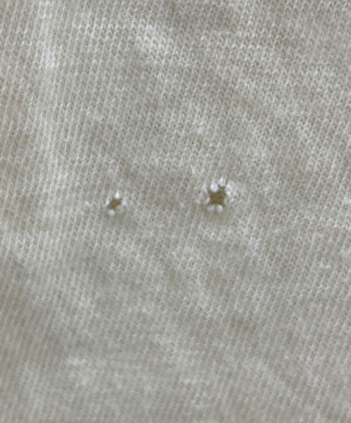 POLO RALPH LAUREN（ポロ・ラルフローレン）POLO RALPH LAUREN (ポロ・ラルフローレン) ポロベアプリントTEE イエロー サイズ:Lの古着・服飾アイテム