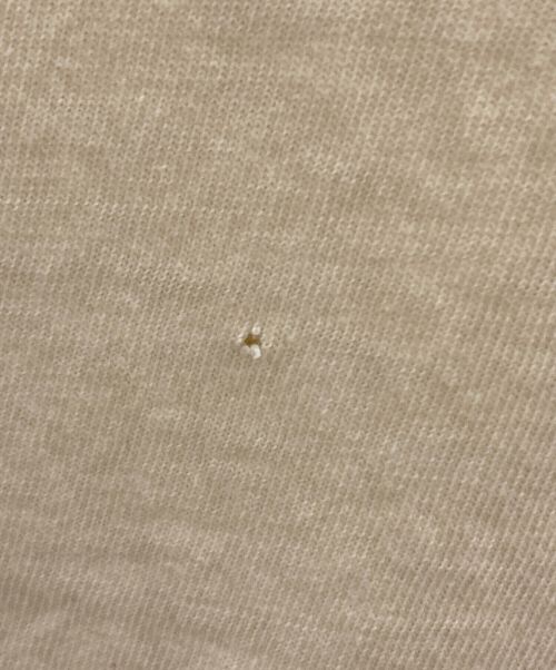 POLO RALPH LAUREN（ポロ・ラルフローレン）POLO RALPH LAUREN (ポロ・ラルフローレン) ポロベアプリントTEE イエロー サイズ:Lの古着・服飾アイテム