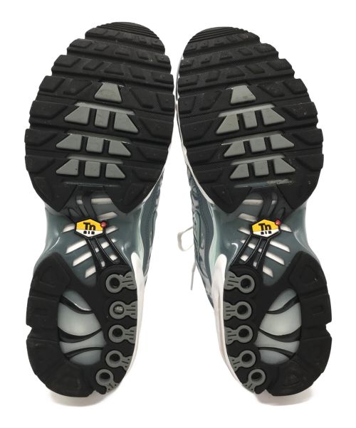NIKE（ナイキ）NIKE (ナイキ) Air Max Plus 'Origins Waterway' ローカットスニーカー グレー サイズ:28cmの古着・服飾アイテム