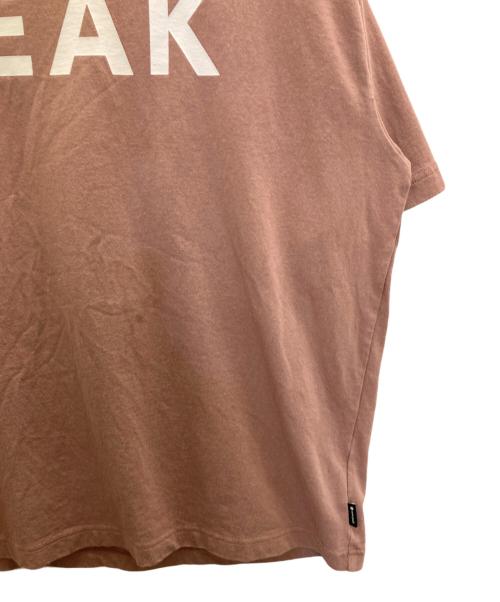 Snow peak（スノーピーク）snow peak (スノーピーク) JOURNAL STANDARD relume (ジャーナルスタンダード レリューム) Tシャツ ピンク サイズ:Ⅼの古着・服飾アイテム