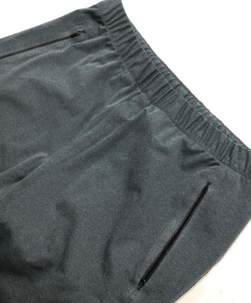 THE NORTH FACE（ザ ノース フェイス）THE NORTH FACE (ザ ノース フェイス) HYVENT APEX PANTS グレー サイズ:Lの古着・服飾アイテム