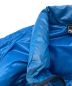 中古・古着 THE NORTH FACE (ザ ノース フェイス) アコンカグアダウンベスト ブルー サイズ:M：4000円