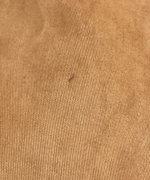 STUDIO D'ARTISAN（ステュディオダルチザン）STUDIO D'ARTISAN (ステュディオダルチザン) 奄美泥染EASTERNERジーンズ オレンジ サイズ:40の古着・服飾アイテム