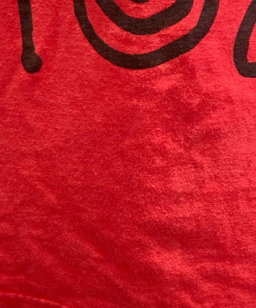 stussy（ステューシー）stussy (ステューシー) ビッグスカルTee レッド サイズ:Ⅼの古着・服飾アイテム