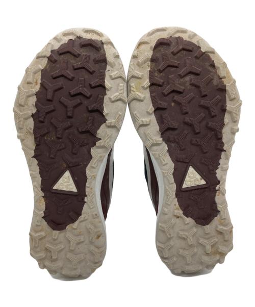 NIKE ACG（ナイキエーシージー）NIKE ACG (ナイキエージーシー) ローケート ブラウン サイズ:29の古着・服飾アイテム