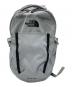 THE NORTH FACE（ザ ノース フェイス）の古着「PIVOTER」｜グレー