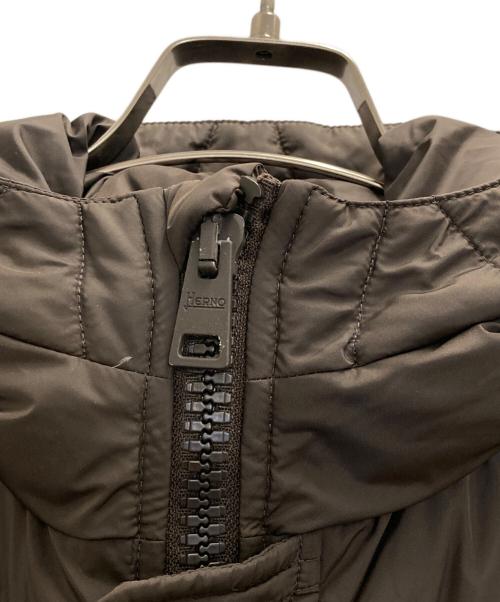 HERNO（ヘルノ）HERNO (ヘルノ) ポーラテックフーデッドダウンコート ブラウン サイズ:50の古着・服飾アイテム