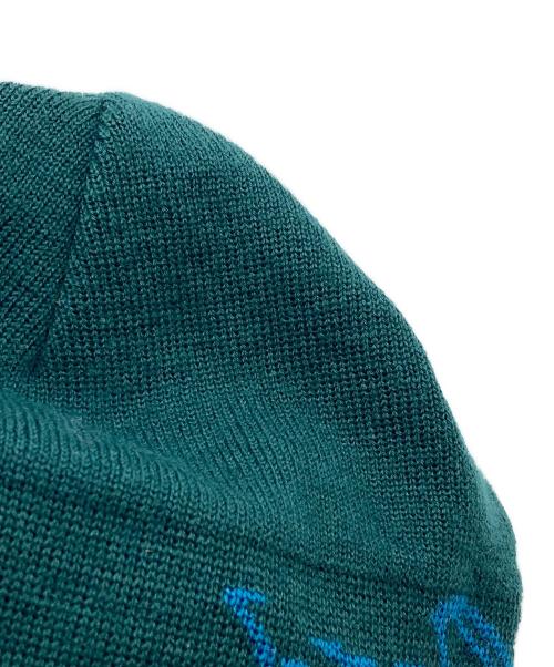 ARC'TERYX（アークテリクス）ARC'TERYX (アークテリクス) Bird Head Toque グリーンの古着・服飾アイテム