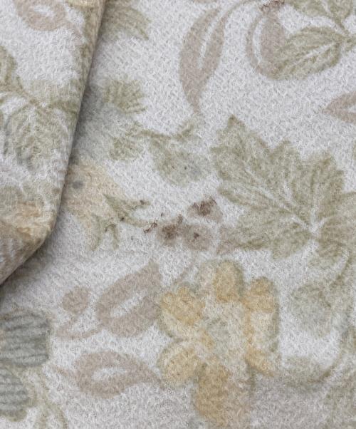 LORO PIANA（ロロピアーナ）LORO PIANA (ロロピアーナ) カシミヤストール ベージュの古着・服飾アイテム