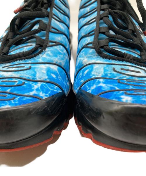 NIKE（ナイキ）NIKE (ナイキ) Air Max Plus ブルー サイズ:29cmの古着・服飾アイテム