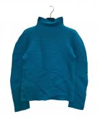 me ISSEY MIYAKEミーイッセイ ミヤケ）の古着「ストレッチプリーツT-SHIRTS」｜ブルー