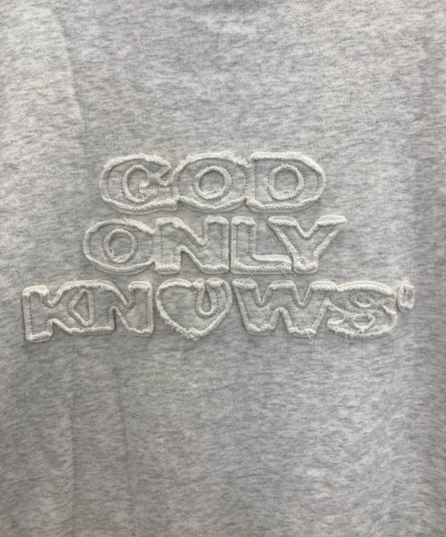 GOD ONLY KNOWS（ゴッドオンリーノウズ）GOD ONLY KNOWS (ゴッドオンリーノウズ) ジップパーカー グレー サイズ:Mの古着・服飾アイテム