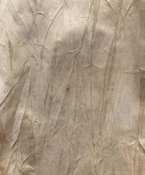 REPLAY（リプレイ）REPLAY (リプレイ) レザージャケット ベージュ サイズ:Ｌの古着・服飾アイテム