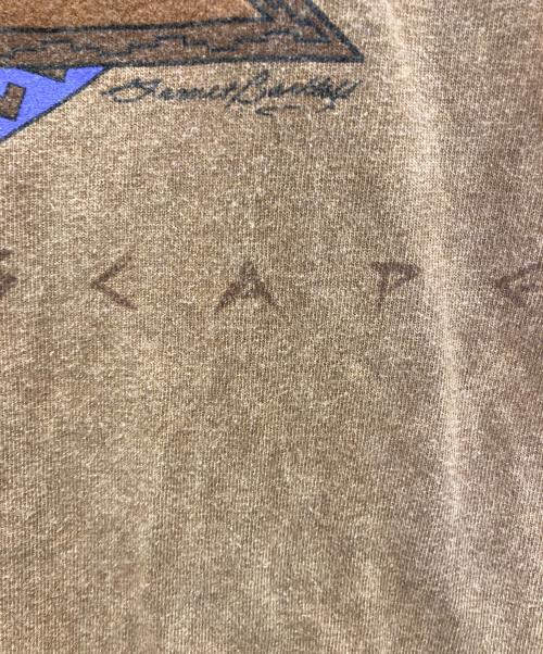 BFOFO CLOTHING（ビーフフォ・クロージング）BFOFO CLOTHING (ビーフフォ・クロージング) 90s DREAMSCAPE Tee ブラウン サイズ:SIZE 1の古着・服飾アイテム