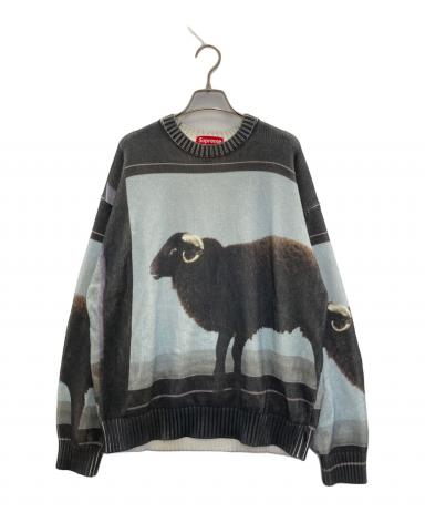 SUPREME シュプリーム　25SS Damien Hirst XL SUPREME シュプリーム 25SS Damien Hirst XL 【公式通販】