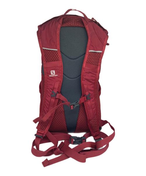 SALOMON（サロモン）SALOMON (サロモン) TRAILBLAZER10 レッドの古着・服飾アイテム