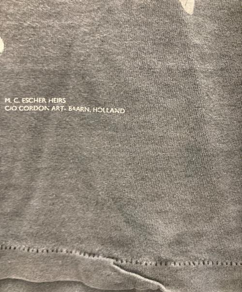 ANDAZIA（アンダジア）ANDAZIA (アンダジア) マルチプリントエッシャー ヴィンテージTee グレー サイズ:Lの古着・服飾アイテム