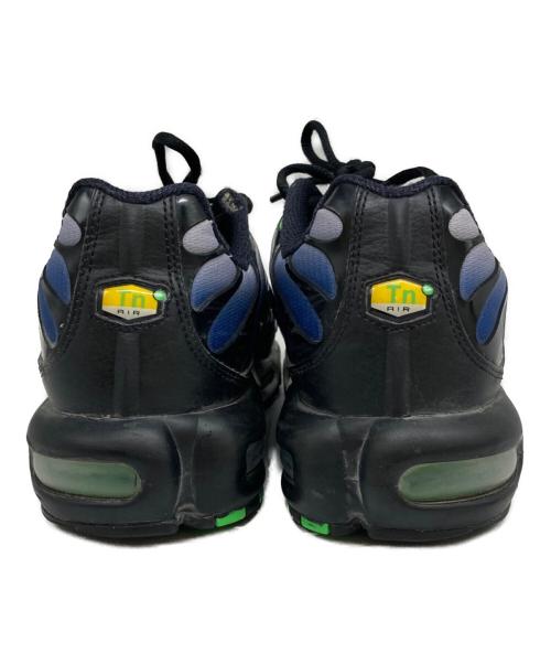 NIKE（ナイキ）NIKE (ナイキ) Nike Air Max Plus ブルー サイズ:SIZE27.5cmの古着・服飾アイテム