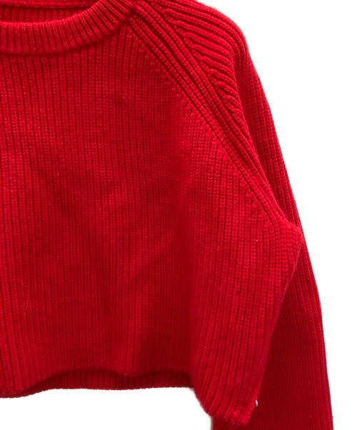 Gypsohila（ジプソフィア）Gypsohila (ジプソフィア) Cropped Crew Neck Knit レッド サイズ:FREEの古着・服飾アイテム