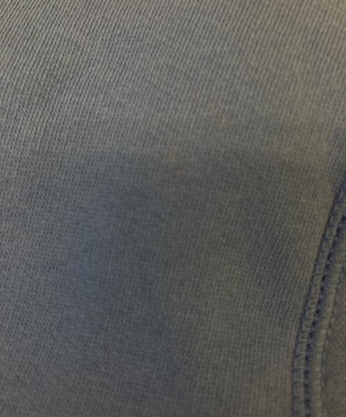POLO RALPH LAUREN（ポロ・ラルフローレン）POLO RALPH LAUREN (ポロ・ラルフローレン) ポロベアスウェット ブルー サイズ:Lの古着・服飾アイテム