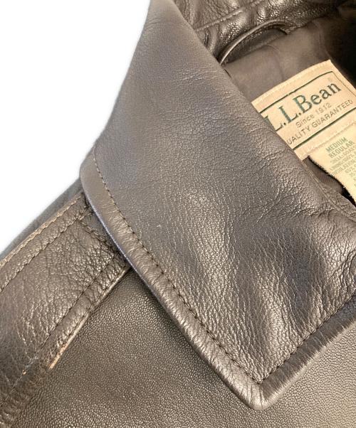 L.L.Bean（エルエルビーン）L.L.Bean (エルエルビーン) ゴートスキンA-2フライトジャケット ブラウン サイズ:Mの古着・服飾アイテム