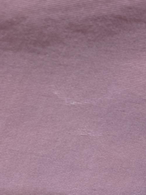 stussy（ステューシー）stussy (ステューシー) イージーハーフパンツ ピンク サイズ:Lの古着・服飾アイテム