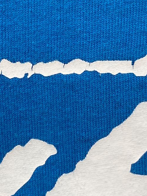 OLD STUSSY（オールドステューシー）OLD STUSSY (オールドステューシー) プリントTシャツ ブルー サイズ:Lの古着・服飾アイテム