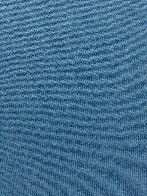 OLD STUSSY（オールドステューシー）OLD STUSSY (オールドステューシー) プリントTシャツ ブルー サイズ:Lの古着・服飾アイテム