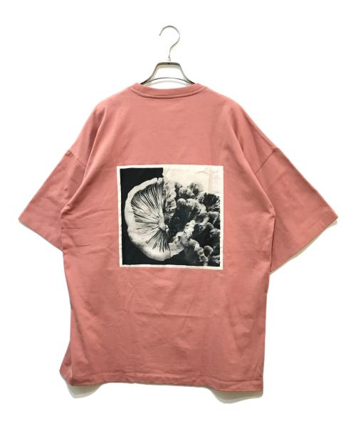 OAMC（オーエーエムシー）OAMC (オーエーエムシー) FUNGI TEE ピンク サイズ:Sの古着・服飾アイテム