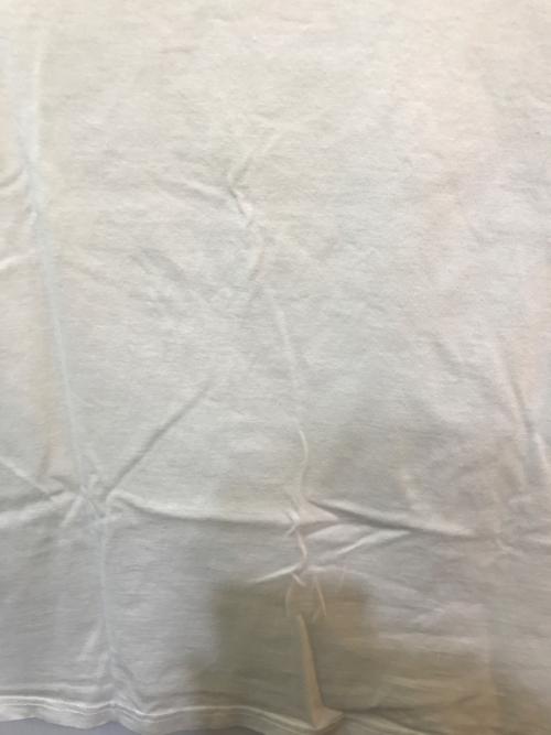 NUMBER (N)INE（ナンバーナイン）NUMBER (N)INE (ナンバーナイン) 復刻 エンブレムTシャツ ホワイト サイズ:2の古着・服飾アイテム