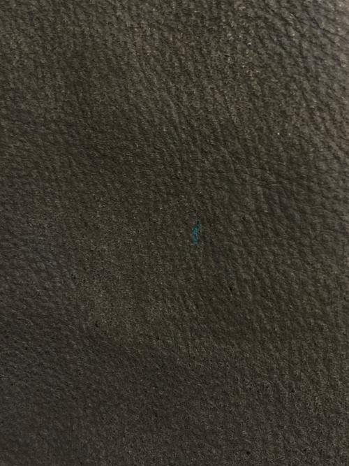 Eddie Bauer（エディーバウアー）Eddie Bauer (エディーバウアー) カウレザージャケット ブラウン サイズ:Ｓの古着・服飾アイテム