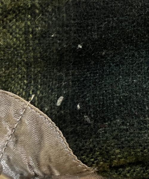 Sierra Wools（シエラ ウールズ）Sierra Wools (シエラ ウールズ) オンブレチェックウールシャツ グリーン サイズ:Mの古着・服飾アイテム