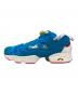 REEBOK (リーボック) INSTA PUMP FURY OG PAD ブルー サイズ:29：5000円
