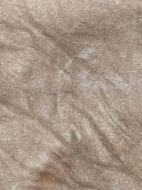 Schott（ショット）Schott (ショット) レザージャケット ブラウン サイズ:36の古着・服飾アイテム