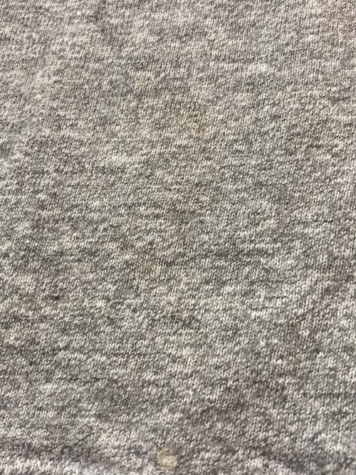 Champion（チャンピオン）Champion (チャンピオン) 80's プリントTシャツ グレー サイズ:X-LARGEの古着・服飾アイテム