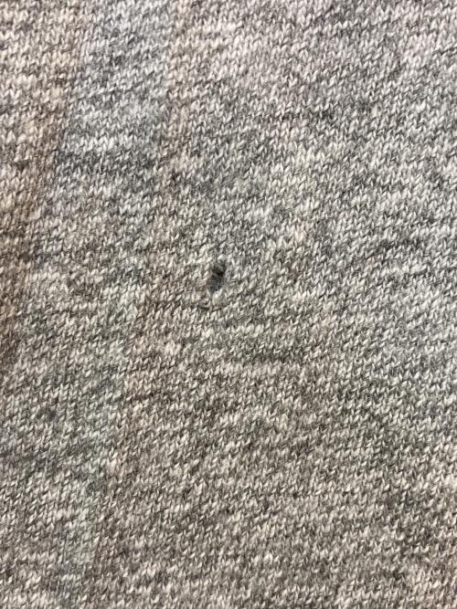 Champion（チャンピオン）Champion (チャンピオン) 80's プリントTシャツ グレー サイズ:X-LARGEの古着・服飾アイテム