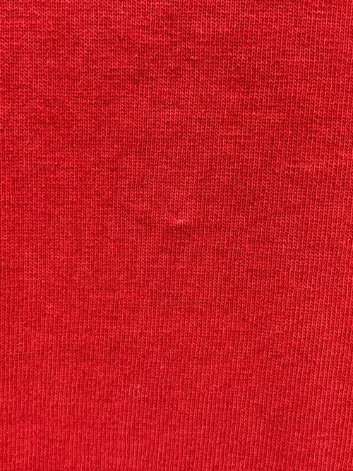 stussy（ステューシー）stussy (ステューシー) 00’s 刺繍Tシャツ レッド サイズ:Largeの古着・服飾アイテム