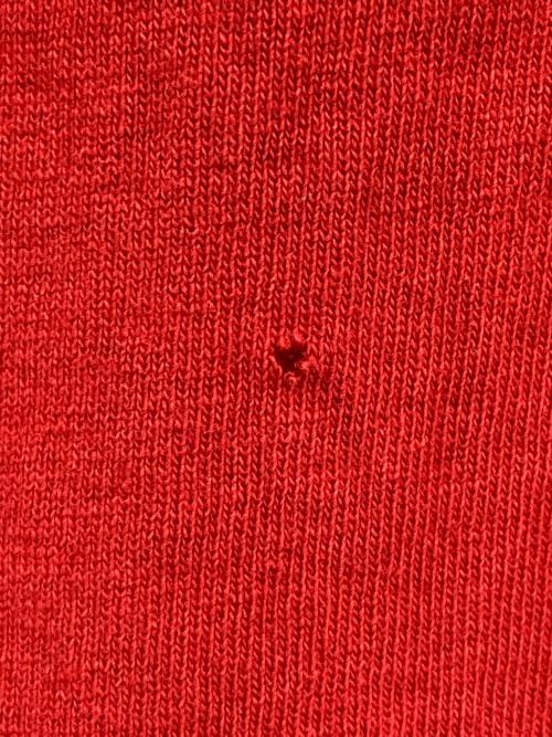 stussy（ステューシー）stussy (ステューシー) 00’s 刺繍Tシャツ レッド サイズ:Largeの古着・服飾アイテム