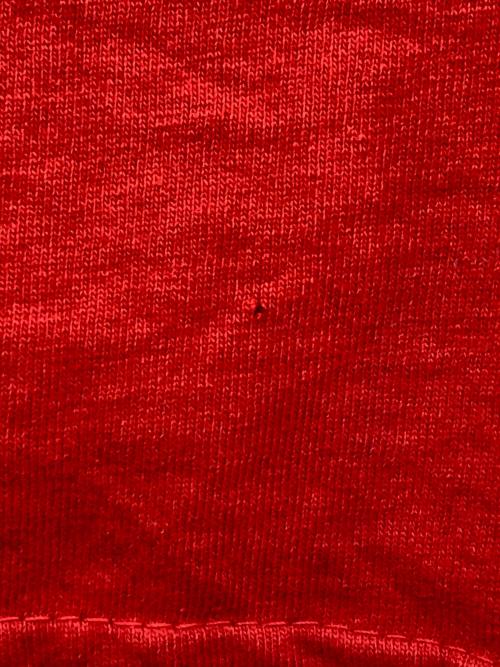 stussy（ステューシー）stussy (ステューシー) 00’s 刺繍Tシャツ レッド サイズ:Largeの古着・服飾アイテム