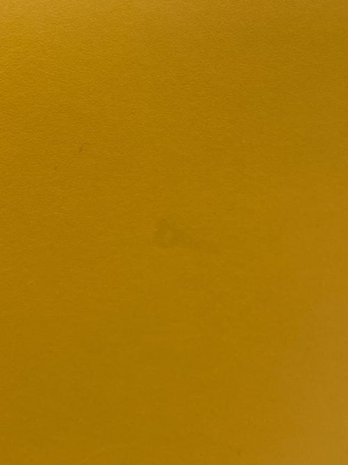 ANAYI（アナイ）ANAYI (アナイ) 2WAYバッグ イエロー 未使用品の古着・服飾アイテム