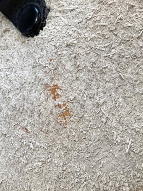 NIKE（ナイキ）NIKE (ナイキ) FRAGMENT DESIGN (フラグメントデザイン) ZOOM MERIWETHER グレー サイズ:28.5の古着・服飾アイテム