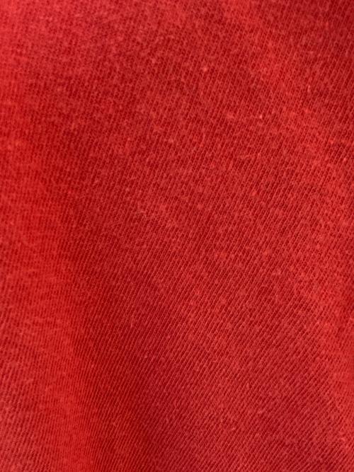 stussy（ステューシー）stussy (ステューシー) プリントTシャツ レッド サイズ:XLの古着・服飾アイテム