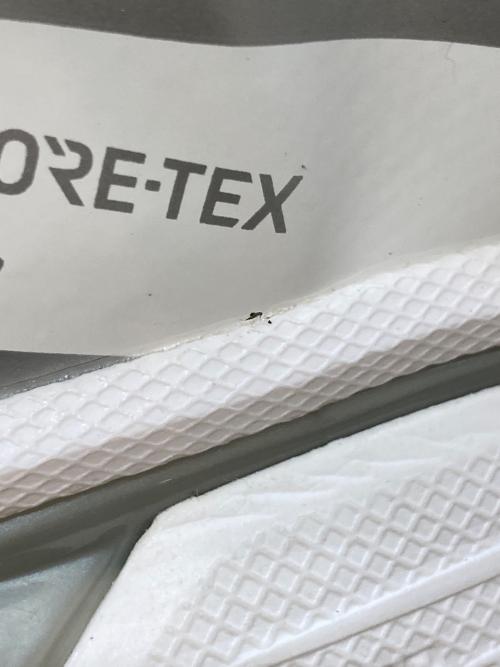 SALOMON（サロモン）SALOMON (サロモン) XT-6 GTX　475811 ホワイト サイズ:28の古着・服飾アイテム