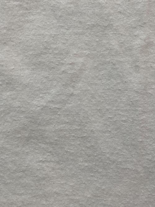 stussy（ステューシー）stussy (ステューシー) 00's プリントTシャツ ホワイト サイズ:Lの古着・服飾アイテム