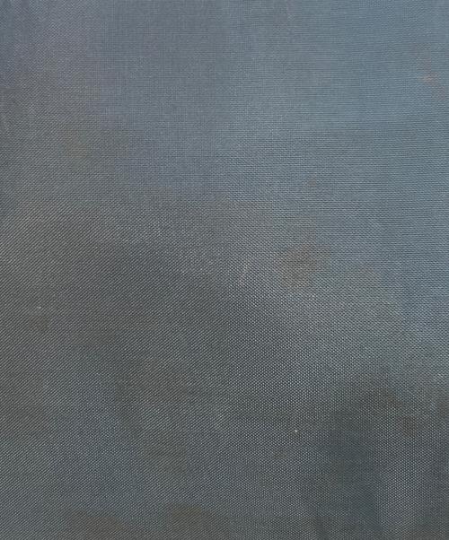 SUPREME（シュプリーム）SUPREME (シュプリーム) バックパック ブルーの古着・服飾アイテム