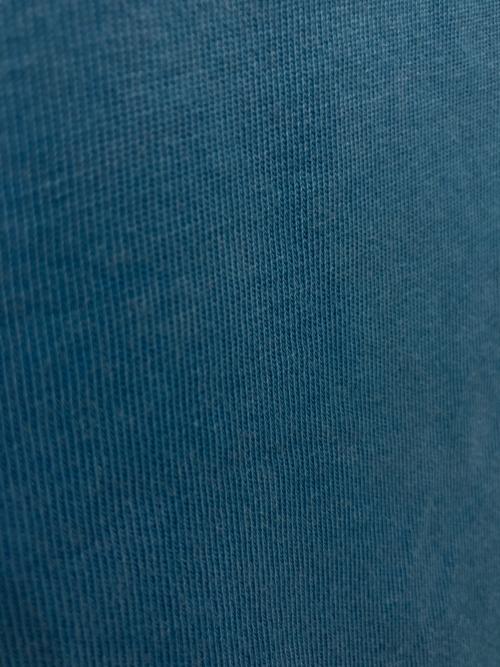 JORDAN（ジョーダン）JORDAN (ジョーダン) FRAGMENTS (フラグメント) cactus jack (カクタス・ジャック) プリントTシャツ ブルー サイズ:Mの古着・服飾アイテム