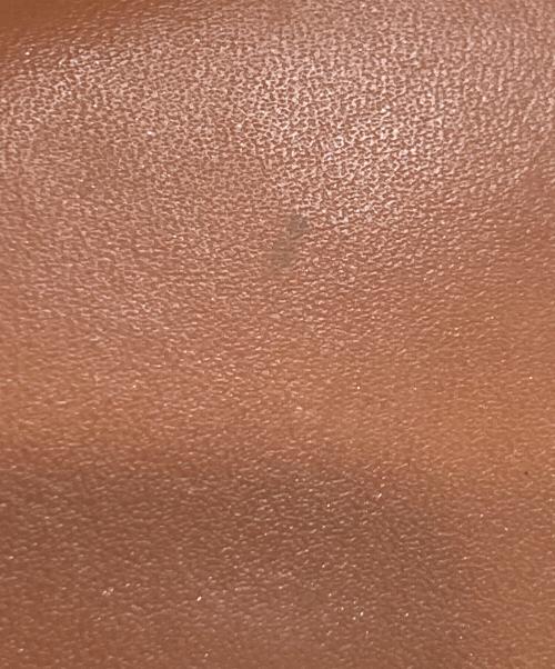 LOEWE（ロエベ）LOEWE (ロエベ) ゲートコンチネンタルウォレット ブラウンの古着・服飾アイテム