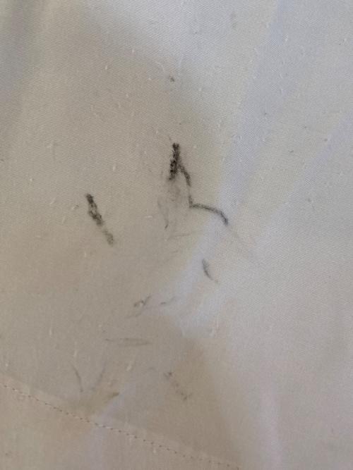 STYLE EYES（スタイルアイズ）STYLE EYES (スタイルアイズ) レーヨンオープンカラーシャツ ベージュ サイズ:Lの古着・服飾アイテム