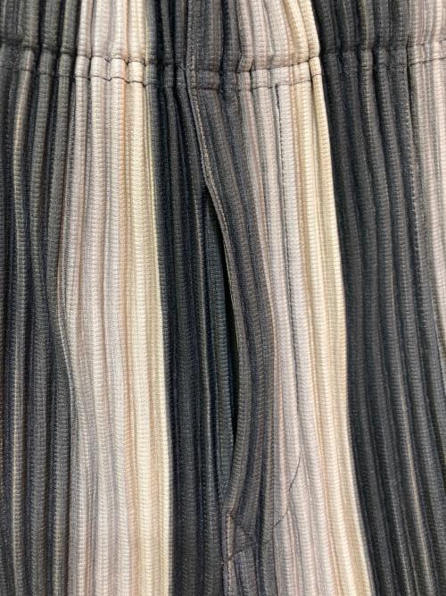 HOMME PLISSE ISSEY MIYAKE（オム プリッセ イッセイ ミヤケ）HOMME PLISSE ISSEY MIYAKE (オム プリッセ イッセイ ミヤケ) RB STRIPES 2 ブラック サイズ:2の古着・服飾アイテム